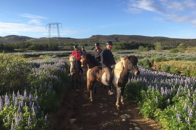 2 hours Private Horse Riding to Lake Hafravatn, Reykjavík - Mos - Why This Tour Stands Out