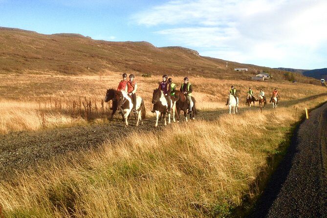 2 hours Private Horse Riding to Lake Hafravatn, Reykjavík - Mos - Who Will Enjoy This Experience?