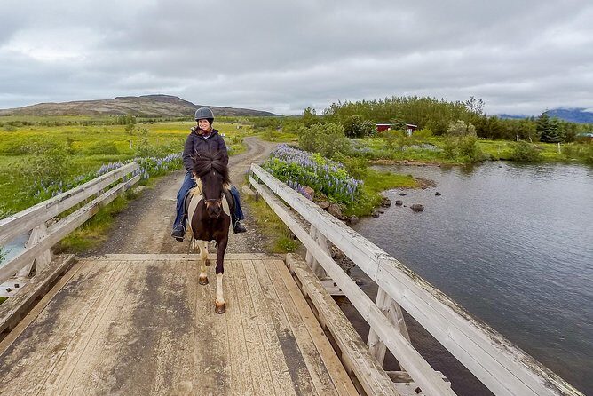 2 hours Private Horse Riding to Lake Hafravatn, Reykjavík - Mos - FAQ