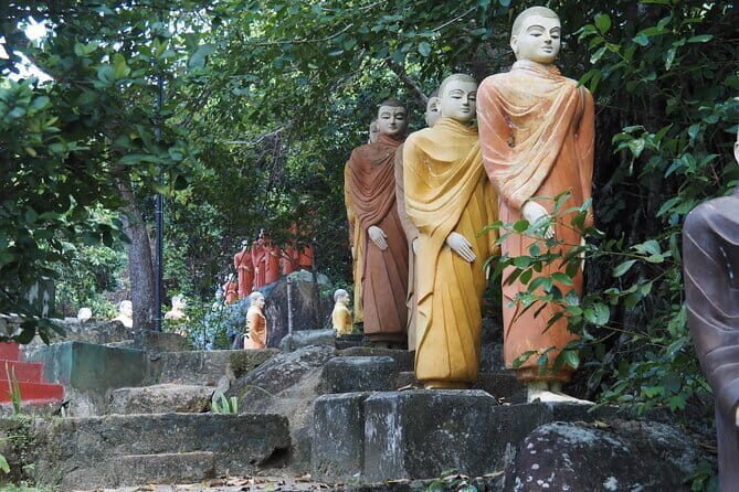 2 hours private Madu River Safari - Key Points