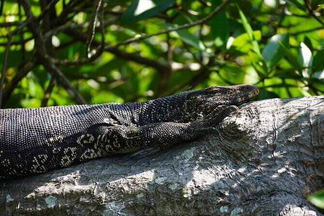 2 hours private Madu River Safari - Temple Island: A Sacred Oasis (30 Minutes)
