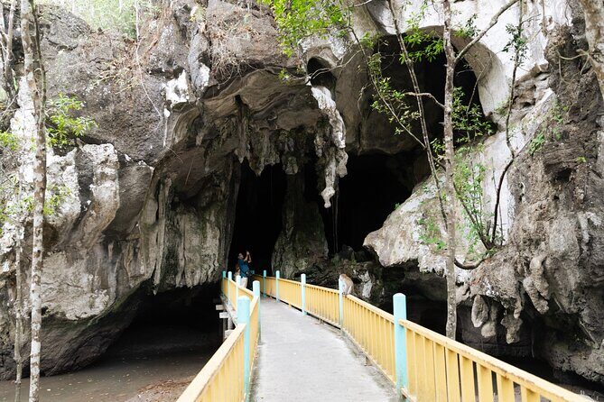 2 Hours Private Mangrove Tour Langkawi - A Detailed Look at the 2-Hour Private Mangrove Tour in Langkawi