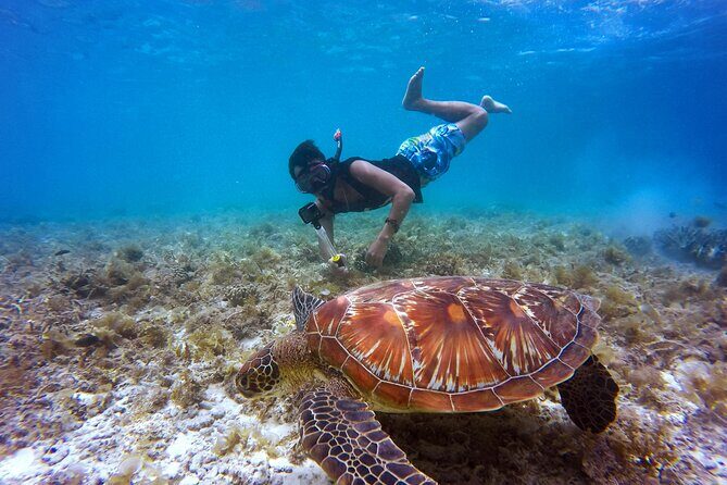 2 hours Private Snorkeling tour in Unawatuna - Discover Snorkeling in Unawatuna: An Honest Review of the 2-Hour Private Tour