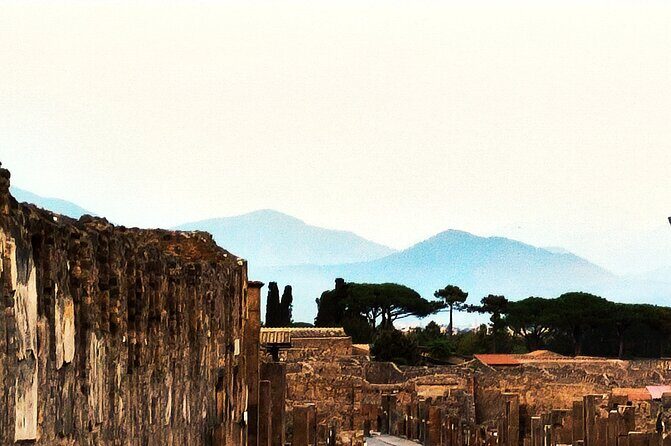 2 Hours Private Tour in Pompeii with Archaeologist - What Travelers Say: Authentic Perspectives