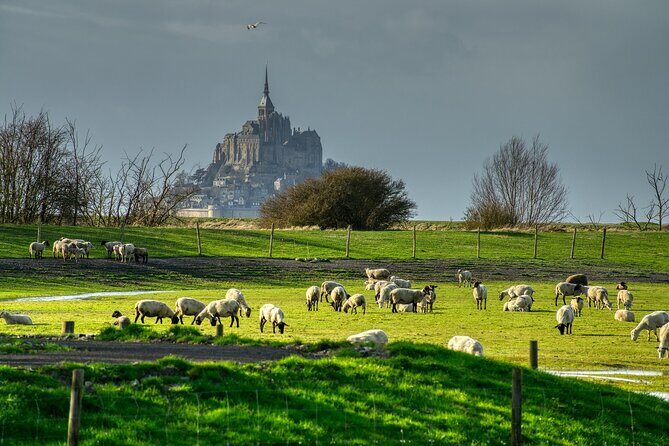 2 Hours Private Walking Tour of Mont Saint Michel - A Closer Look at the 2-Hour Private Walking Tour