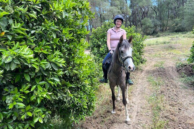 2 Hours Shared Horse Riding in Kemer Antalya All Level Riders - Who Will Enjoy This Tour?