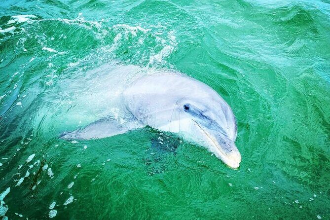 2 Hours Shell Island Jet Ski Tour - Final Thoughts