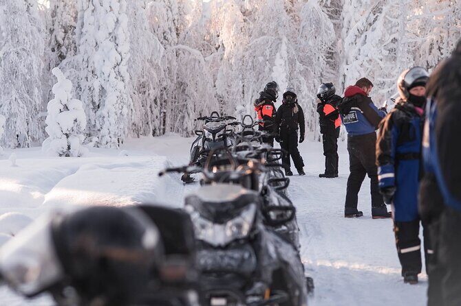 2 Hours Snowmobile Safari to the Levi Nature - Exploring the Real Value of the Snowmobile Safari