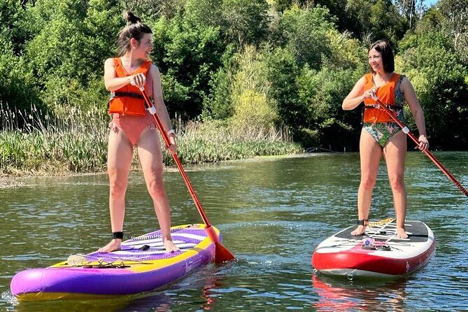 2 Hours SUP Activity on Arda River - A Closer Look: What to Expect on Your SUP Journey