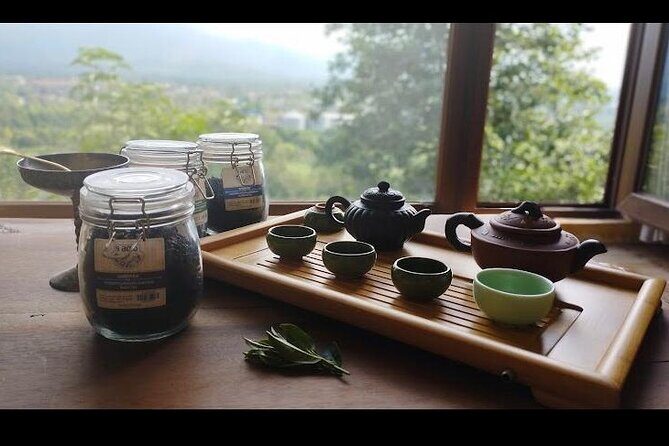 2 Hours Tea House and Tea Garden Trip in Ozurgeti Georgia - The 2 Hours Tea House and Tea Garden Trip in Ozurgeti, Georgia