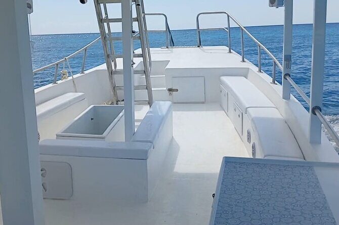 2 Hours Turtle Feeding, Shipwreck & Reef Snorkeling Tour Barbados - Considerations and Tips