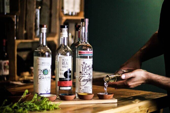 2 Island Adventure: Contoy & Mujeres with Snorkeling & open bar - In-Depth Review of the 2 Island Adventure: Contoy & Mujeres