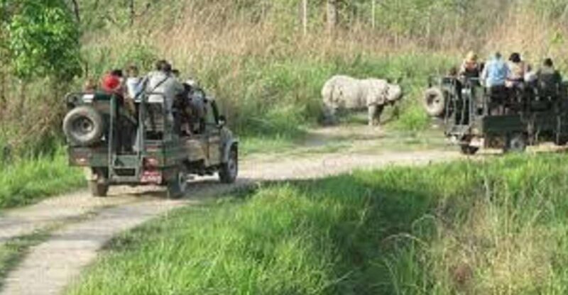 2 N 3 Days Chitwan tour package from Pokhara or Kathmandu - A Closer Look at the Value