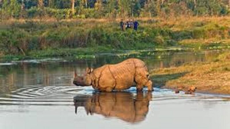 2 N 3 Days Chitwan tour package from Pokhara or Kathmandu - Frequently Asked Questions