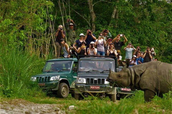 2 Night 3 Day Chitwan Jungle Safari Tour from Pokhara - Who Would Enjoy This Tour?