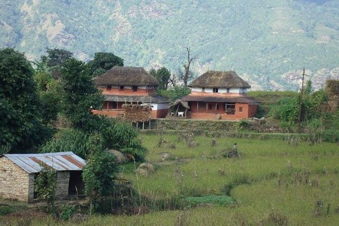 2 Night 3 Day Chitwan Jungle Safari Tour from Pokhara - FAQ