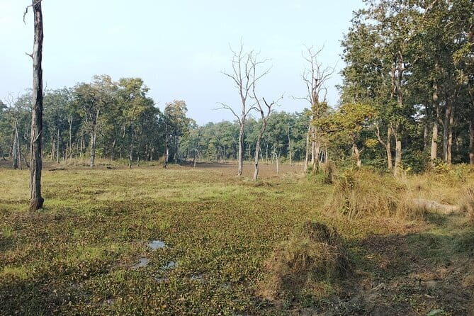 2 Night 3 Days Chitwan Jungle Safari Tour from Kathmandu - FAQ