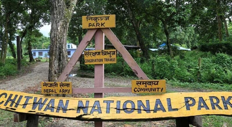 2 Night 3 Days Chitwan National Park/From Kathmandu/Pokhra - Visualizing the Experience
