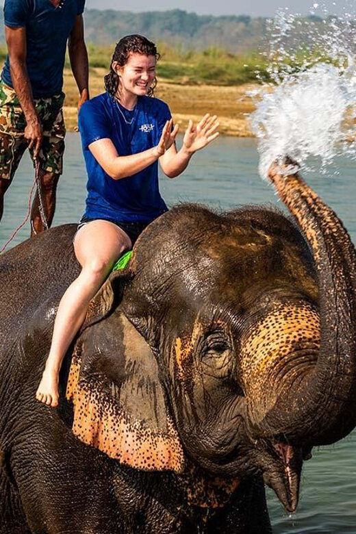 2 Night 3 Days Chitwan National Park/From Kathmandu/Pokhra - Who This Tour is Best For