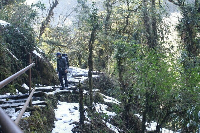2 Night Quick Poon Hill and Ghandruk Trek - Day 2: Sunrise at Poon Hill & Trek to Tadapani