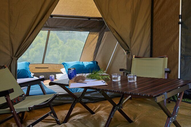 2 Night Rainforest Glamping Adventure near Byron Bay - Introduction: A Unique Nature Escape Close to Byron Bay