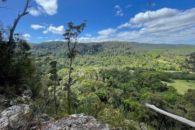 2 Night Rainforest Glamping Adventure near Byron Bay - Who Will Love This Tour?