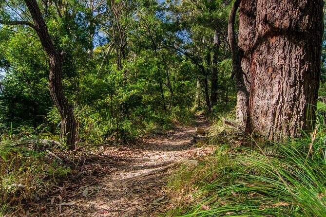 2 Night Rainforest Glamping Adventure near Byron Bay - Final Thoughts: The Real Value of a Rainforest Glamping Adventure