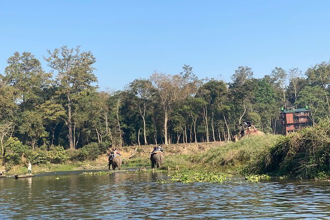 2 Nights 3 Days Chitwan Jungle Safari Tour - The Sum Up