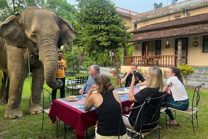 2 Nights 3 Days Chitwan National Park Package with Jeep Safari - Practical Considerations