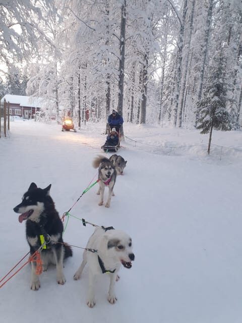 2 Nights Lapland experience - Why This Tour Stands Out
