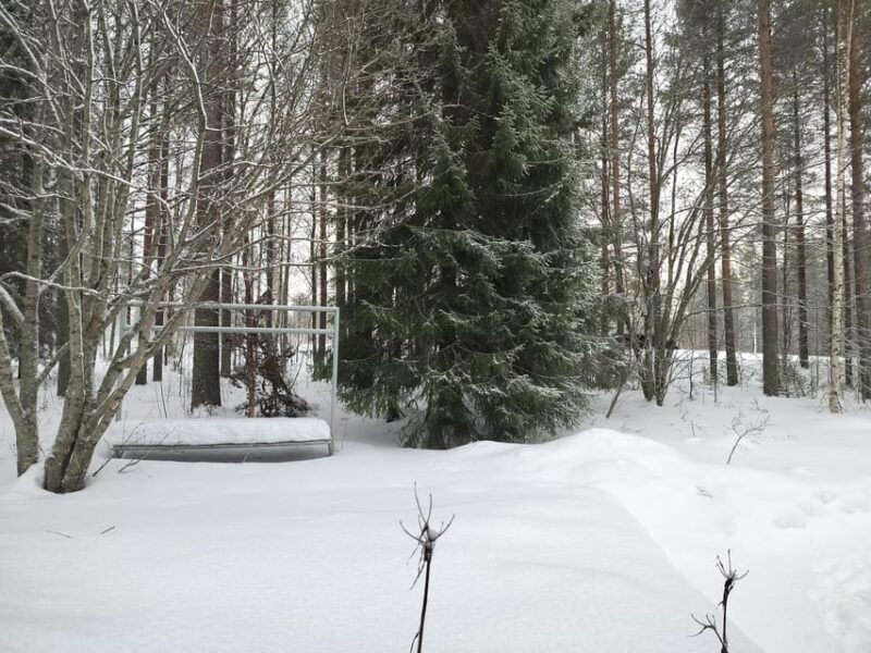 2 Nights Lapland experience - Final Thoughts