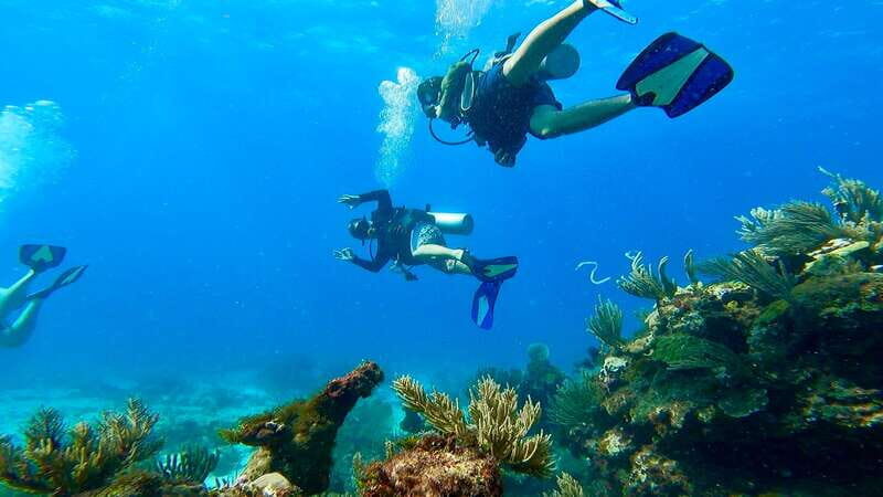 2 Ocean Dives: MUSA Underwater Museum and Manchones Reef - Exploring Cancuns Underwater Wonders: MUSA and Manchones Reef