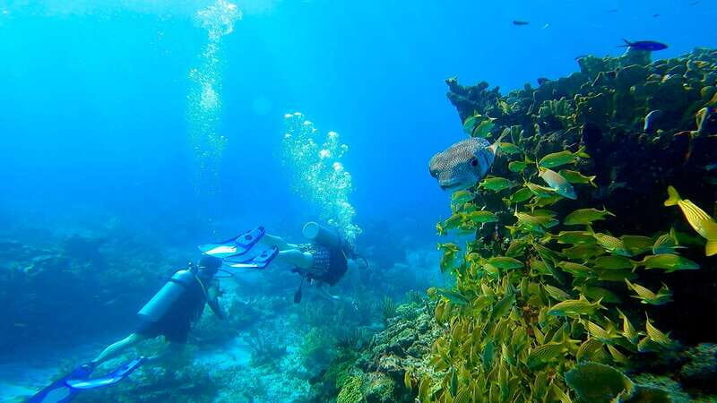 2 Ocean Dives: MUSA Underwater Museum and Manchones Reef - The Value and Practicality
