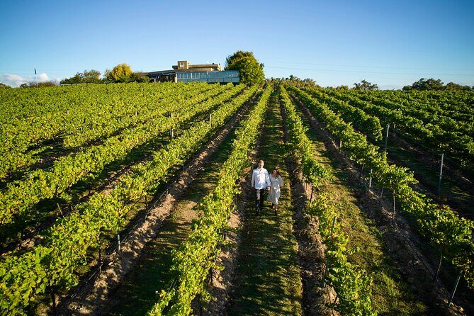 2 People - Premium Wine Tasting Experience and 2-Course Lunch - Why This Tour Offers Good Value