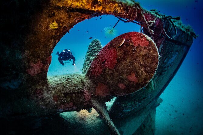2 Scuba Fun Dives for Certified divers in St Paul's Bay - Discover Malta’s Underwater Treasures with 2 Scuba Fun Dives in St Paul’s Bay