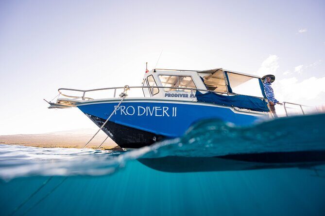 2-Tank Dive Featuring the Molokini Crater - Key Points