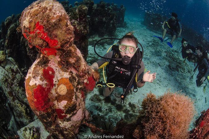 2 Tank Dives MUSA and Manchones reef (Certified divers) - Why This Tour Excels