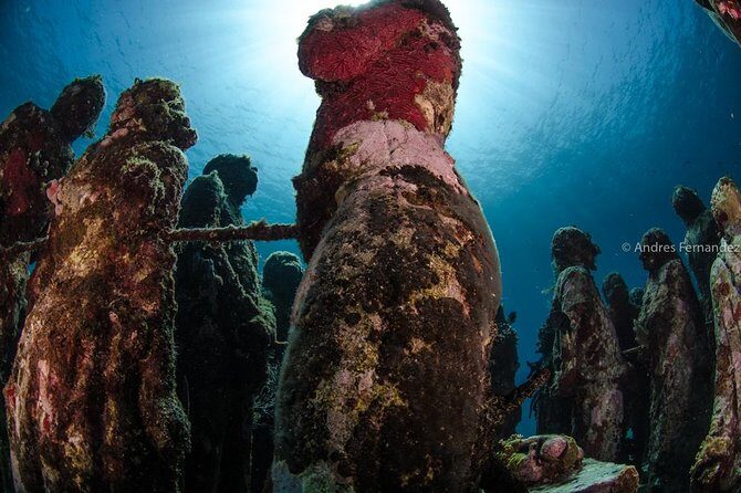 2 Tank Dives MUSA and Manchones reef (Certified divers) - FAQs