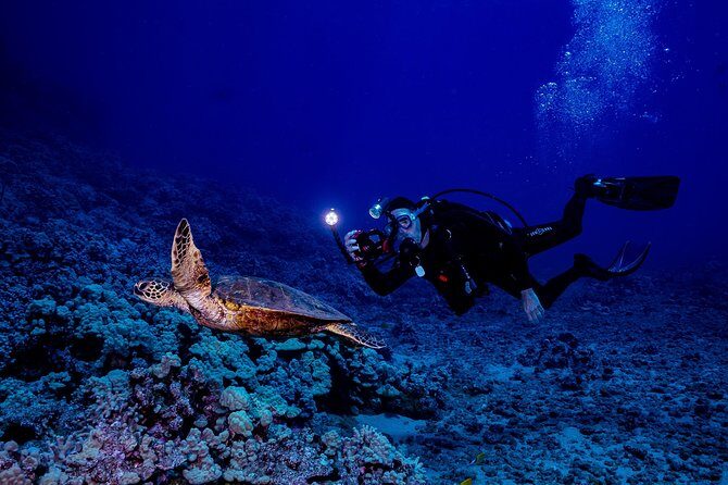 2 Tank Lanai Cathedral Scuba Dive Via Boat for Certified Divers - Surface Breaks and Lunch