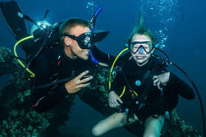 2-Tank Maui Turtle Scuba Dive or Snorkel Boat Tour - Key Points