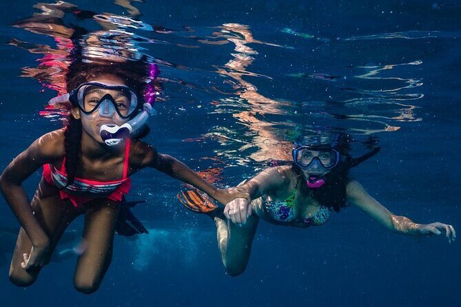 2-Tank Maui Turtle Scuba Dive or Snorkel Boat Tour - Who Will Love This Tour?