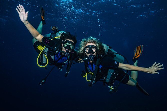 2-Tank Maui Turtle Scuba Dive or Snorkel Boat Tour - Frequently Asked Questions