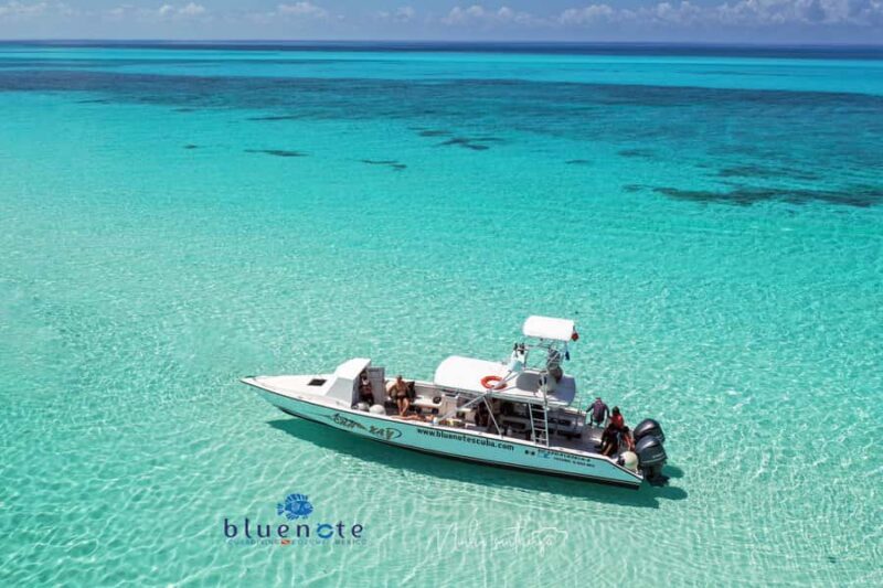 2 Tank Morning Cozumel Dives for Certified Divers - What Sets Blue Note Scuba Apart?