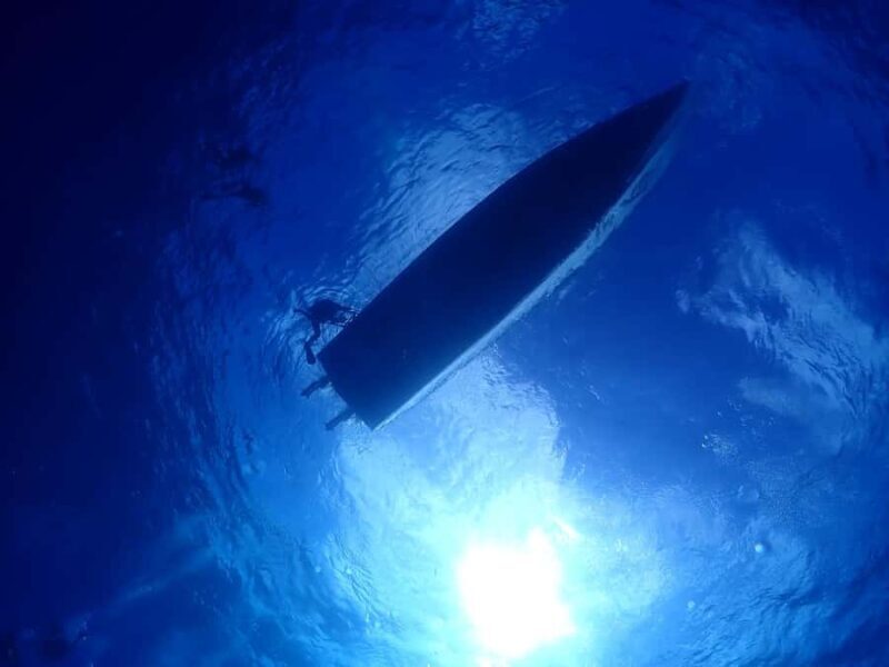 2 Tank Morning Cozumel Dives for Certified Divers - Frequently Asked Questions