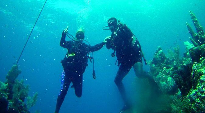 2 Tank Roatan Fun Dive, Boat Sightseeing Tour, including ground transportation - Exploring Roatan’s 2 Tank Fun Dive and Sightseeing Tour: An Authentic Underwater Adventure