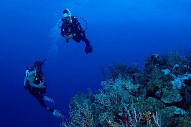 2-Tank Scuba Boat Trip in World-Class Sites @ Copamarina - Final Thoughts: Is It Worth It?