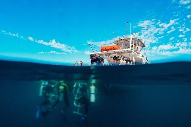 2 Tanks Scuba Diving in La Paz - Key Points