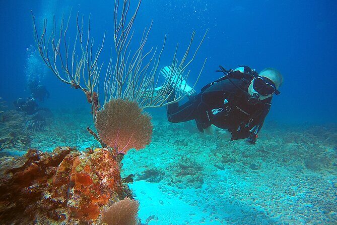 2 Tanks Scuba Diving Wreck and Reef in Cancun for Certified Divers - Frequently Asked Questions