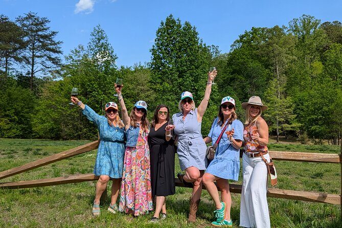2 Vineyard Wine Tour of the Yadkin Valley - Who Will Love This Tour?
