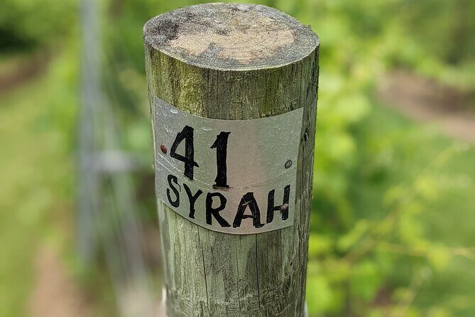 2 Vineyard Wine Tour of Western NC - Frequently Asked Questions